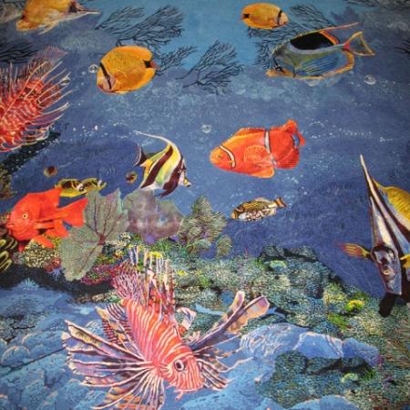 Посмотреть крупнее