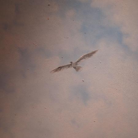 Посмотреть крупнее